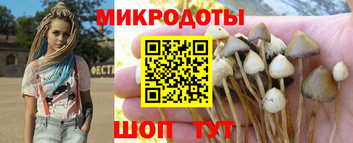 Галлюциногенные грибы прущие грибы Нижнеудинск